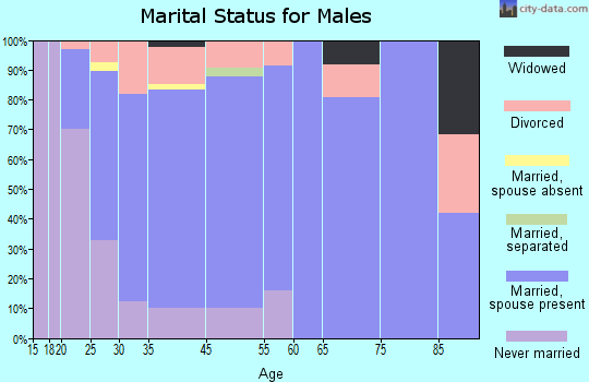 Rapid Valley marital status for males