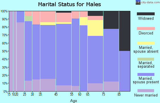 Salem marital status for males