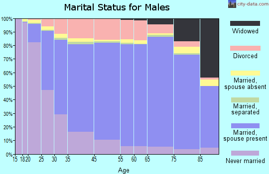 Sioux Falls marital status for males