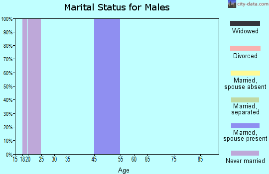 Spring Creek marital status for males