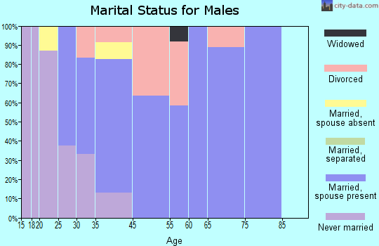 Timber Lake marital status for males