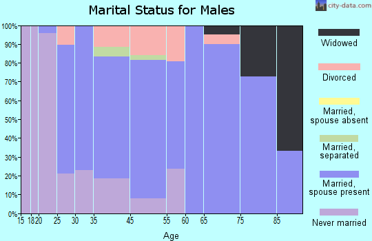 Viborg marital status for males