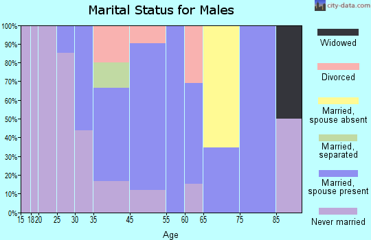 White River marital status for males