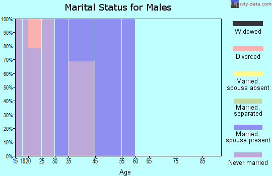 Wounded Knee marital status for males