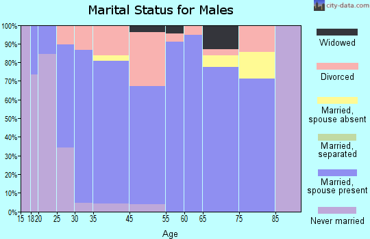 Ardmore marital status for males