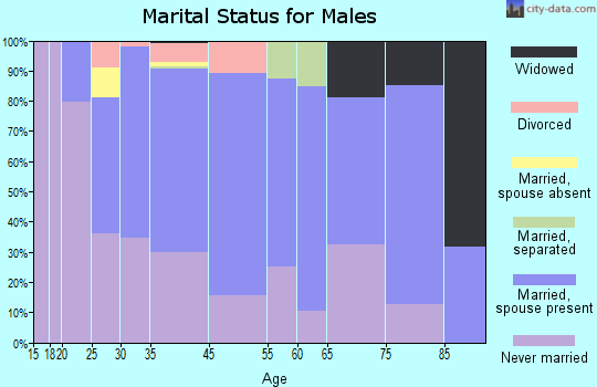 Arlington marital status for males