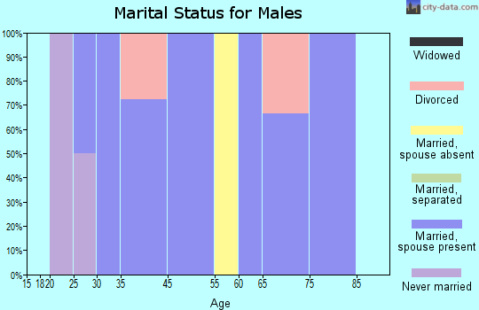 Auburntown marital status for males