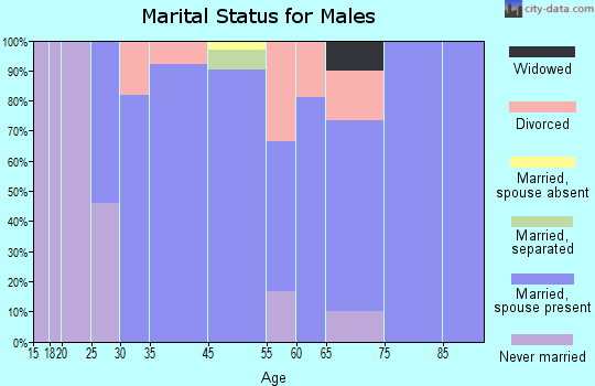 Beersheba Springs marital status for males