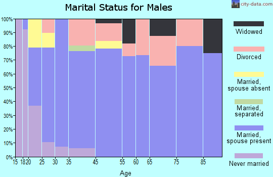 Bethel Springs marital status for males