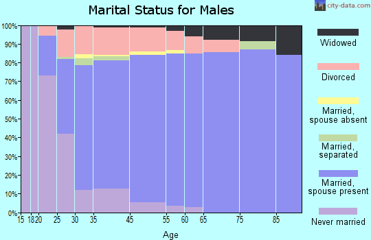 Bloomingdale marital status for males
