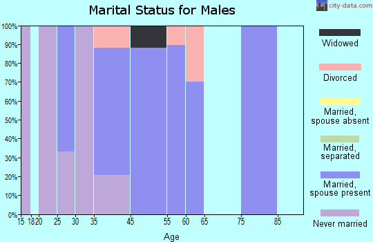 Braden marital status for males