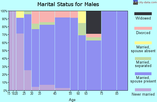 Brighton marital status for males