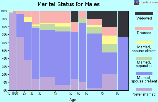 Brownsville marital status for males