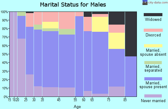 Bruceton marital status for males