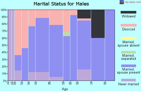 Bulls Gap marital status for males