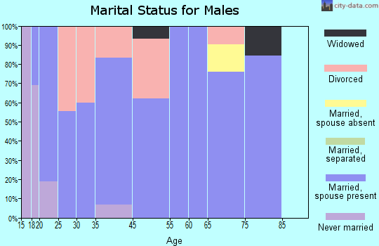 Burlison marital status for males