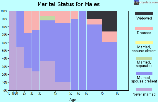 Charleston marital status for males