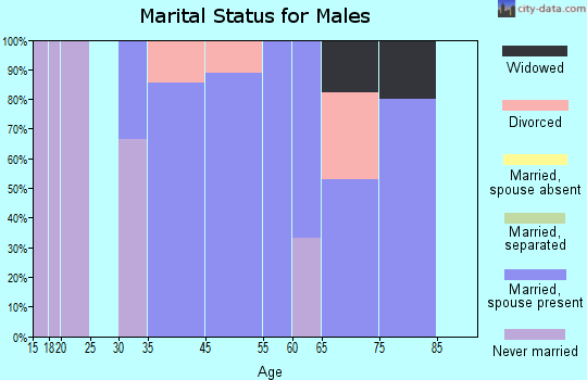 Clarksburg marital status for males