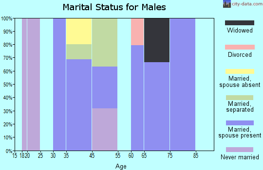 Lake Almanor Peninsula marital status for males