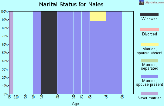 Lake Almanor West marital status for males
