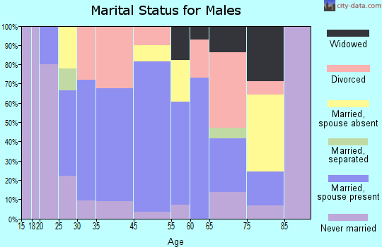 Decaturville marital status for males