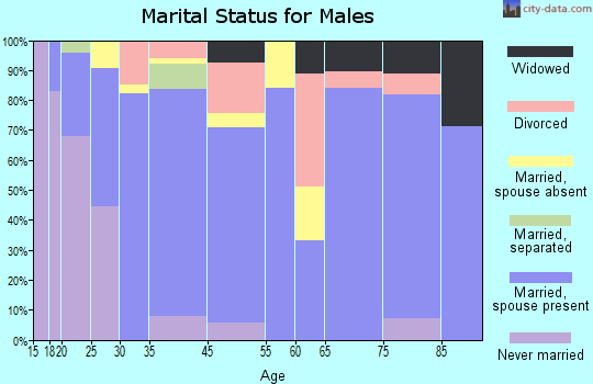 Dresden marital status for males