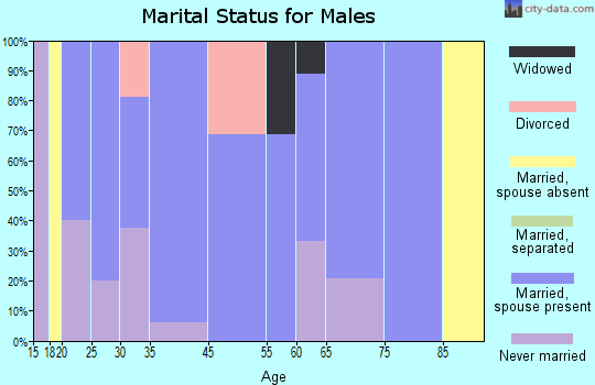 Ducktown marital status for males
