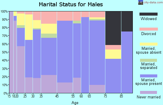 Ashville marital status for males
