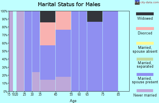 Enville marital status for males