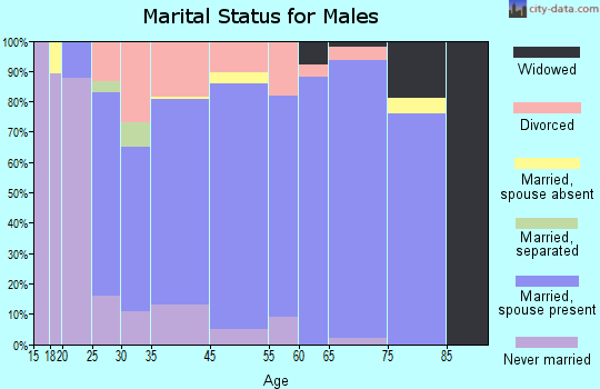 Estill Springs marital status for males