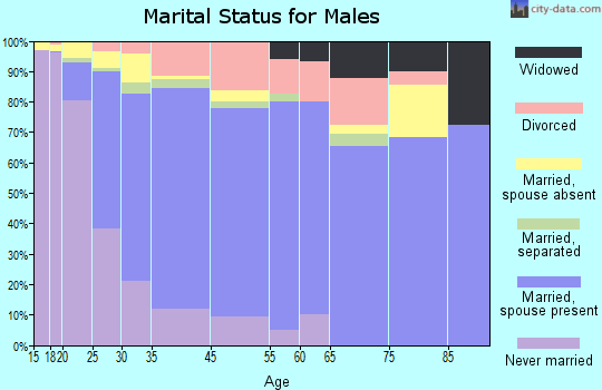 Lake Elsinore marital status for males
