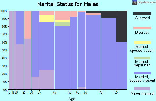 Fairfield Glade marital status for males