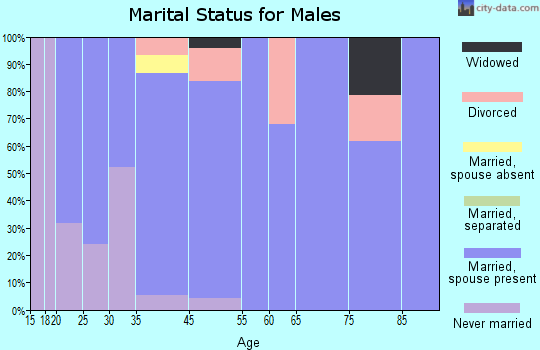 Fall Branch marital status for males