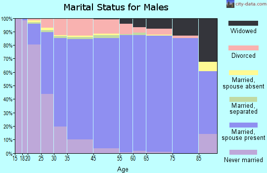 Hendersonville marital status for males