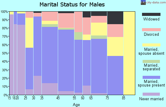 Lake Los Angeles marital status for males