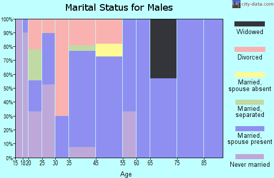 Iron City marital status for males