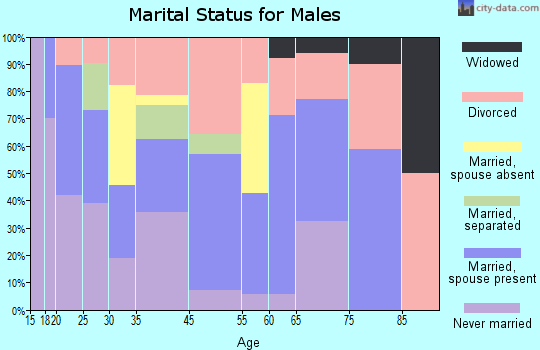 Jamestown marital status for males