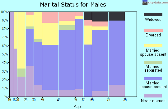 Jonesborough marital status for males