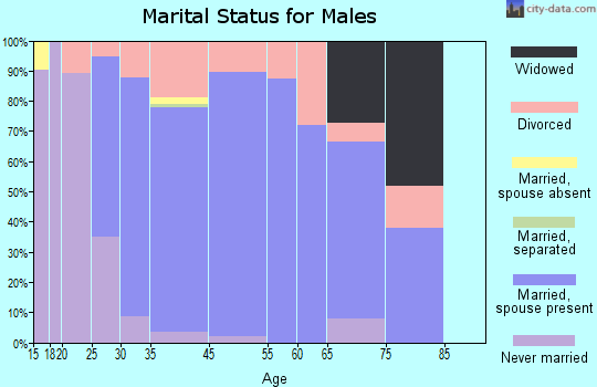 Kingston Springs marital status for males