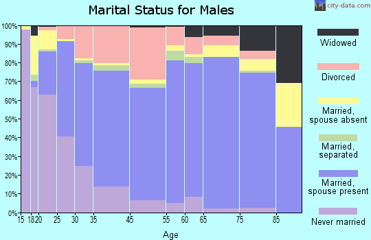 Lebanon marital status for males