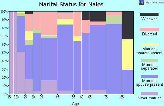 Lenoir City marital status for males