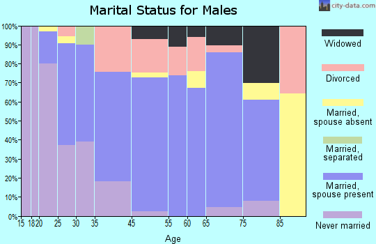 Loudon marital status for males