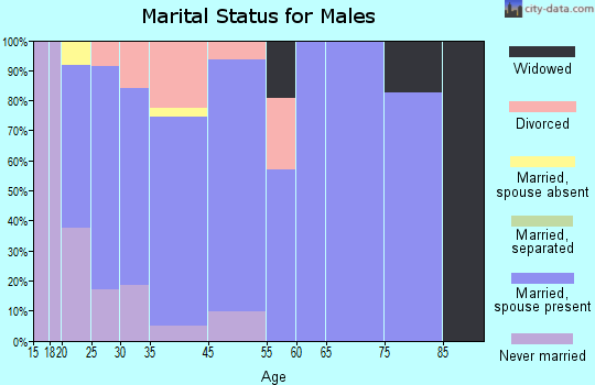 Medina marital status for males