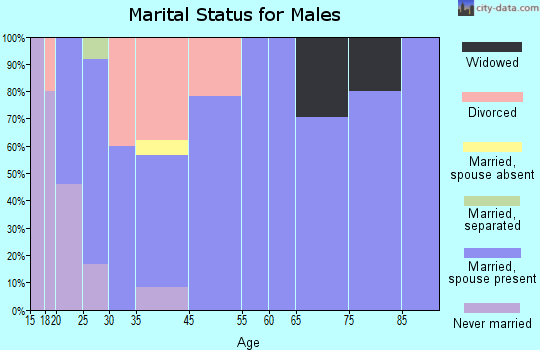 Minor Hill marital status for males