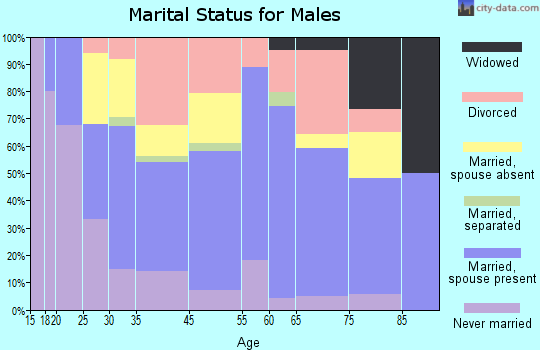Mountain City marital status for males