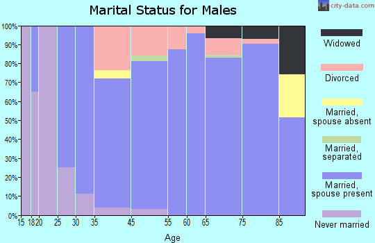 Lake Wildwood marital status for males