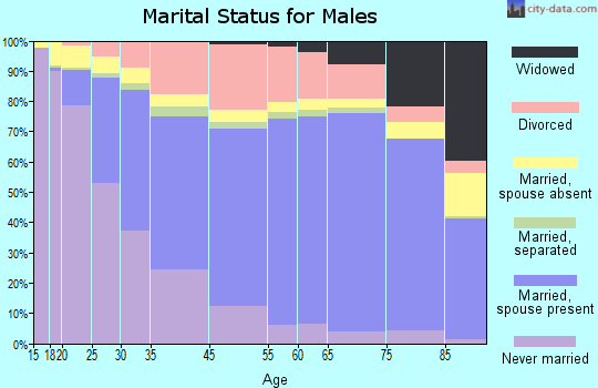 Nashville-Davidson marital status for males