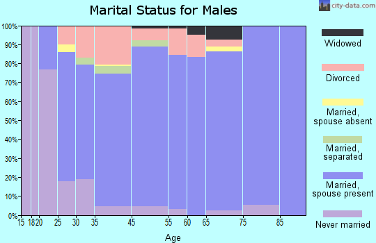 New Johnsonville marital status for males
