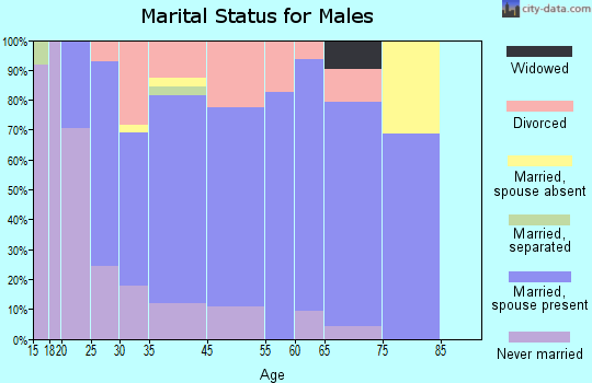 New Market marital status for males