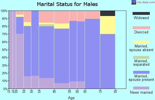 Pigeon Forge marital status for males